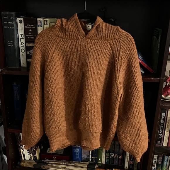 Bluivy Sweaters - Bluivy Warm Terracotta hooded Sweater